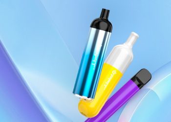 Seven Magnificent Reasons Why the Disposable Vape Is for You
