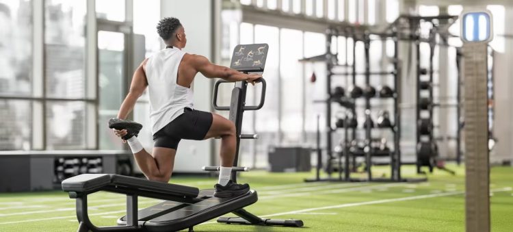 The Comprehensive Guide to Fitness: Building Strength, Stamina, and Longevity