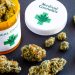 Medical Cannabis in the UK: What Patients Actually Need to Know